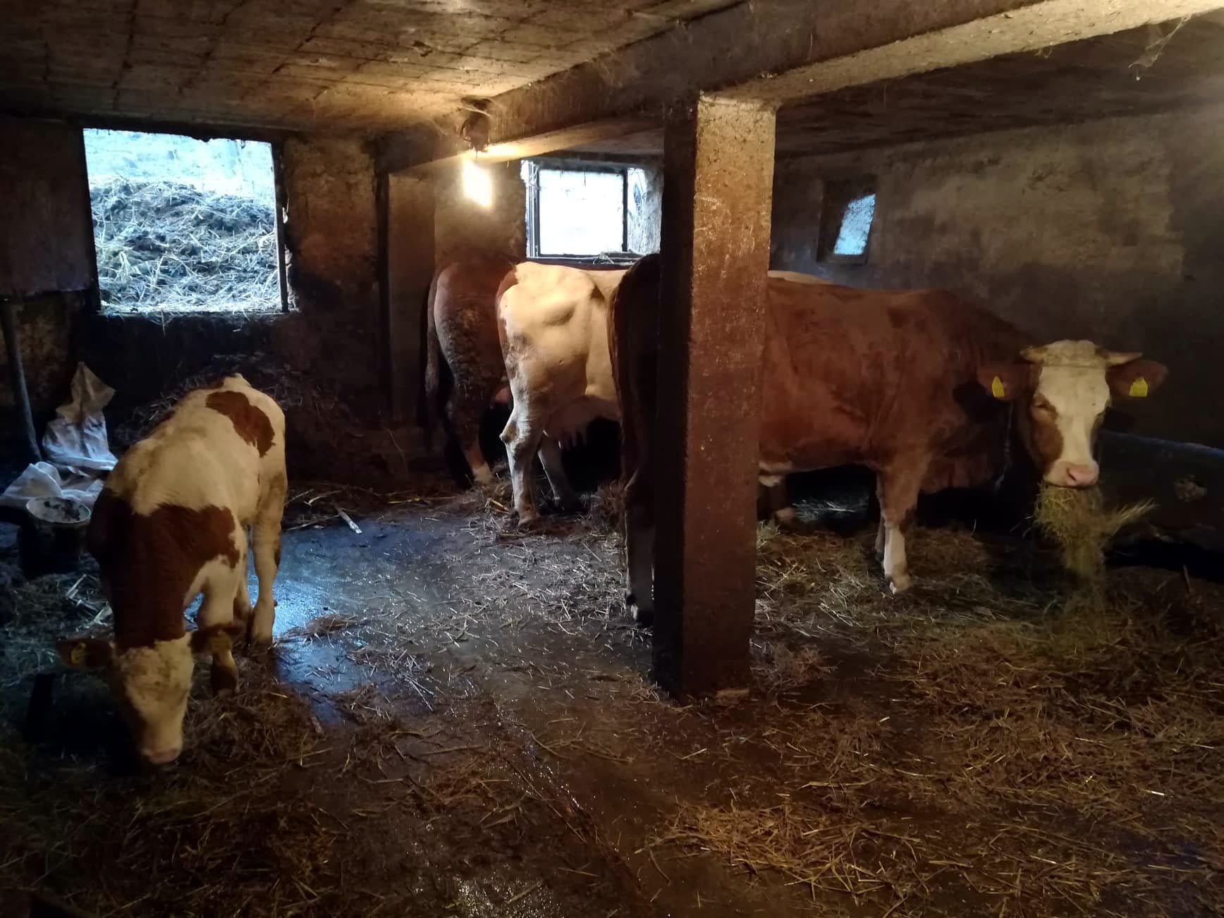 Vakup9;-foto:-JV-J.-Adamovic