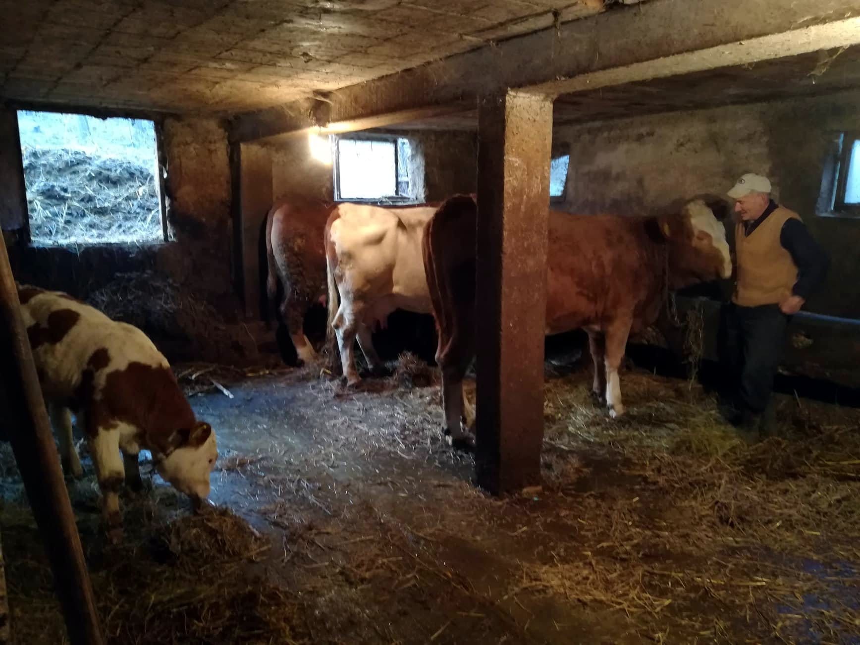 Vakup3;-foto:-JV-J.-Adamovic