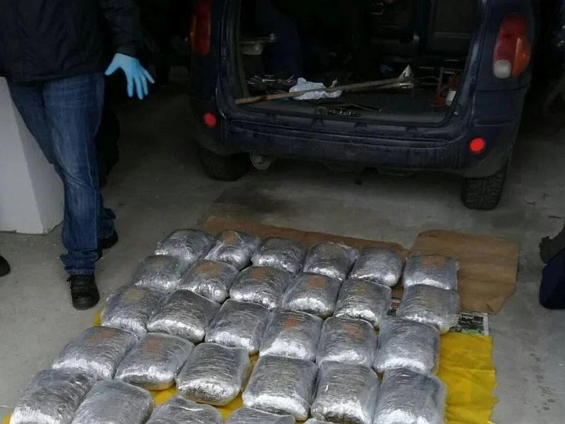 zaplena marihuane foto MUP