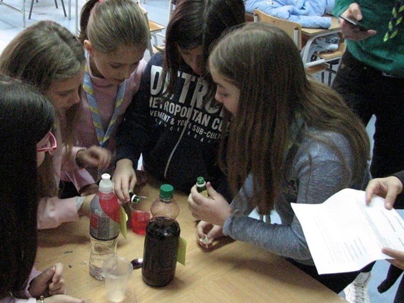 Poletarceva jelka napitak foto Luka Djordjevic