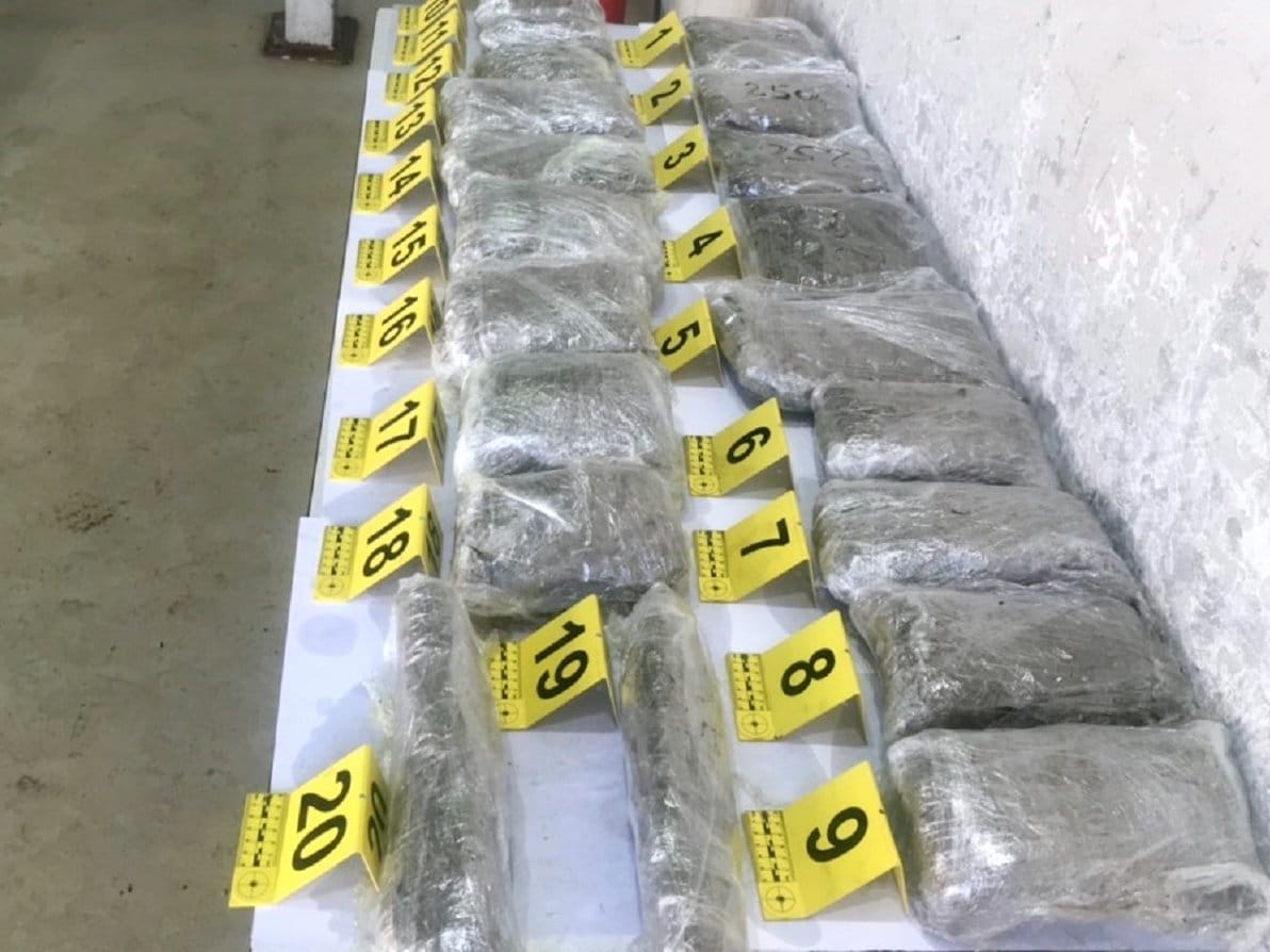 marihuana foto carina