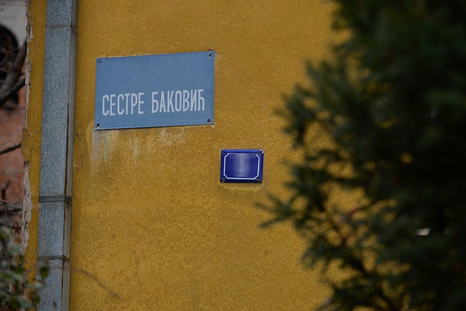 Sestre Bakovic Foto Vanja Keser