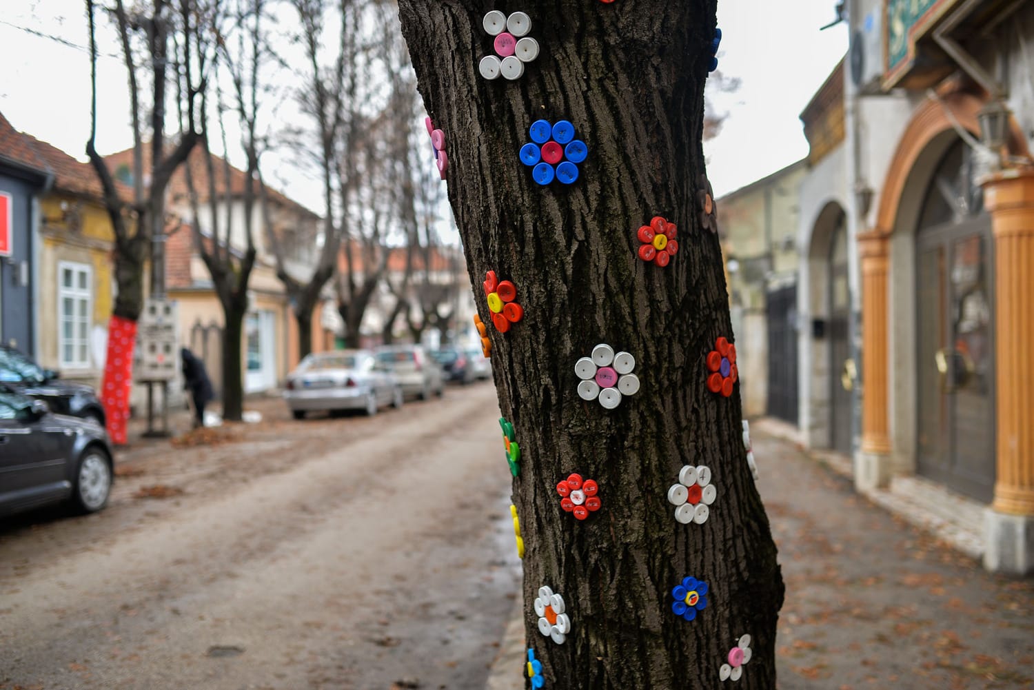drvece-oslikano-lole-ribara2018-foto-vkeser
