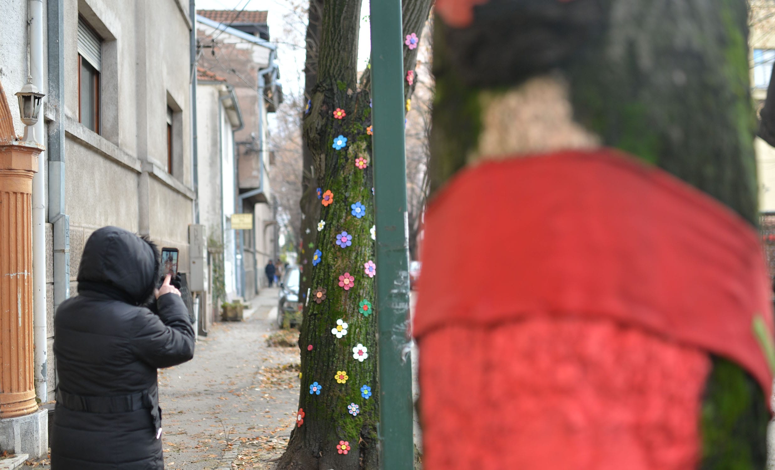 drvece-oslikano7-lole-ribara2018-foto-vkeser