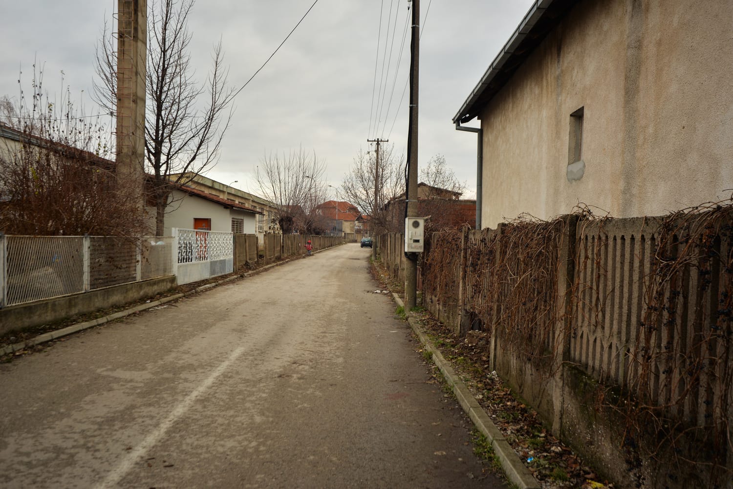 Ivana-KrstiÜa-Belog-2