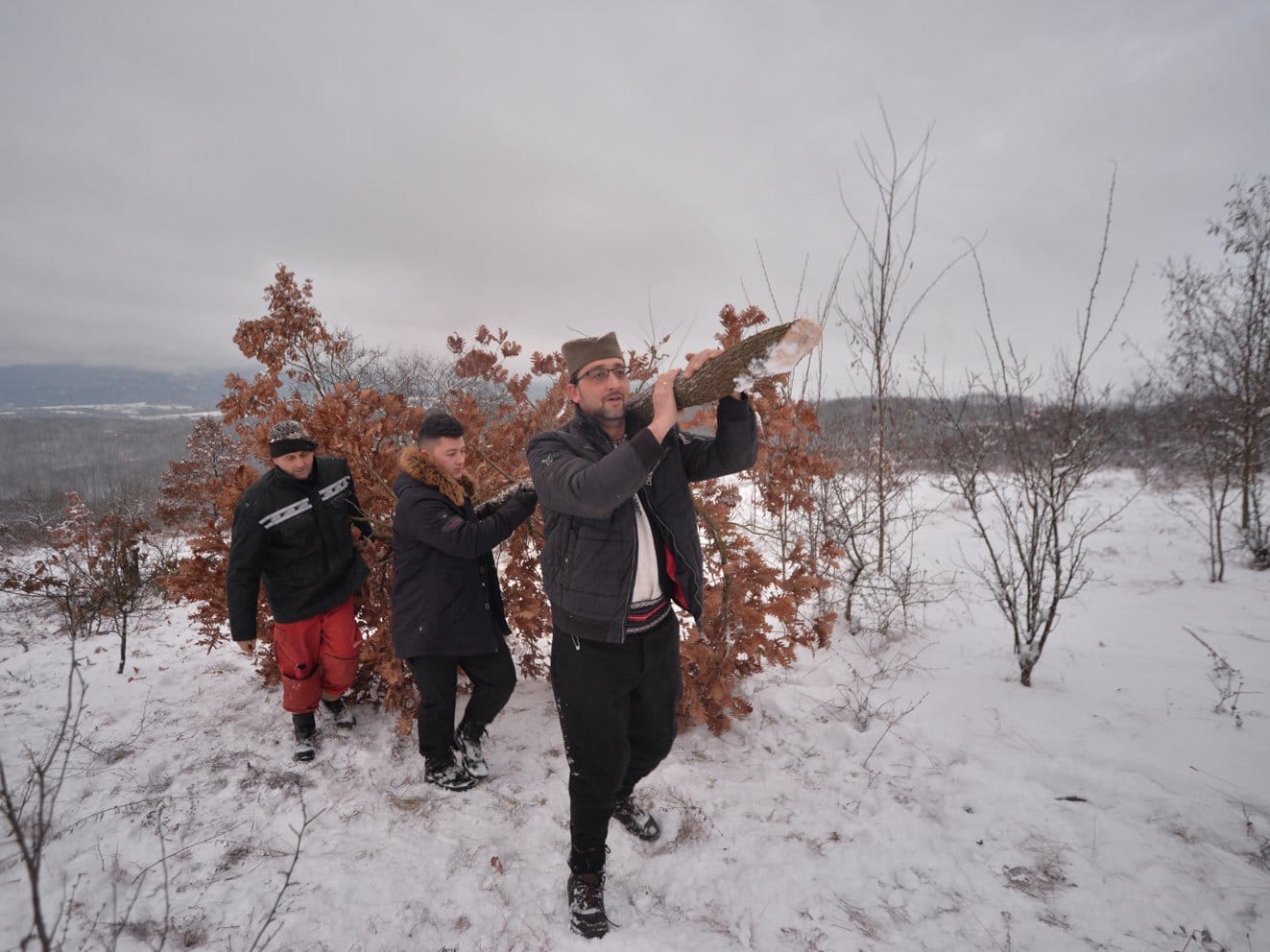 Badnjak januar 2019 foto Vanja Keser