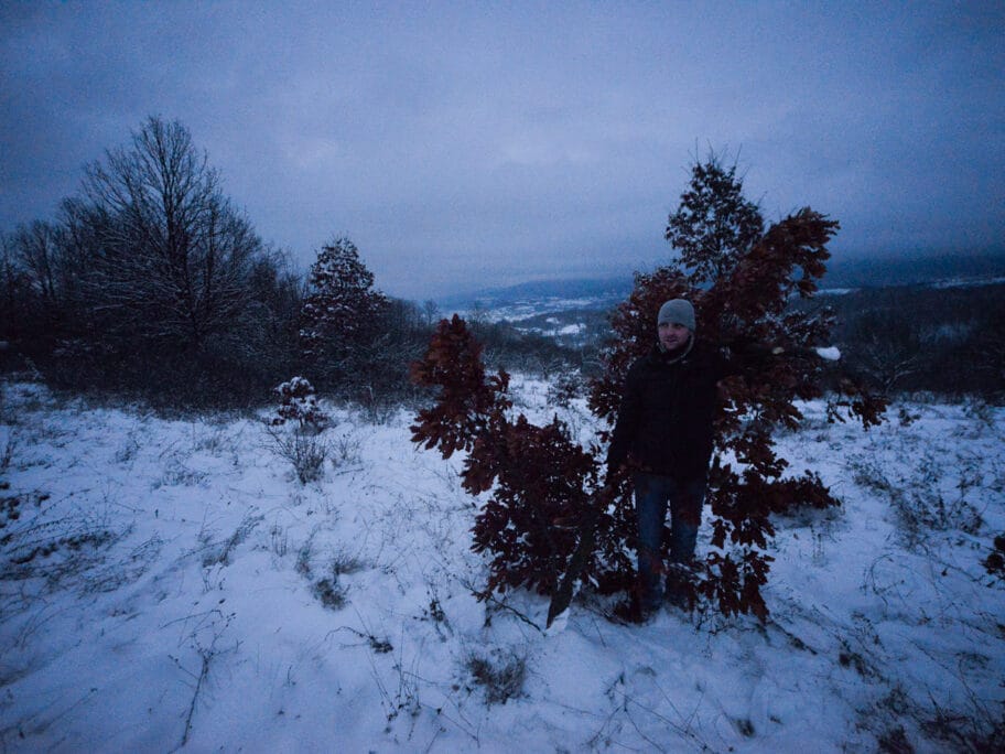 poranili po badnjak foto Vanja Keser