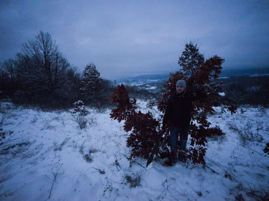 poranili po badnjak foto Vanja Keser