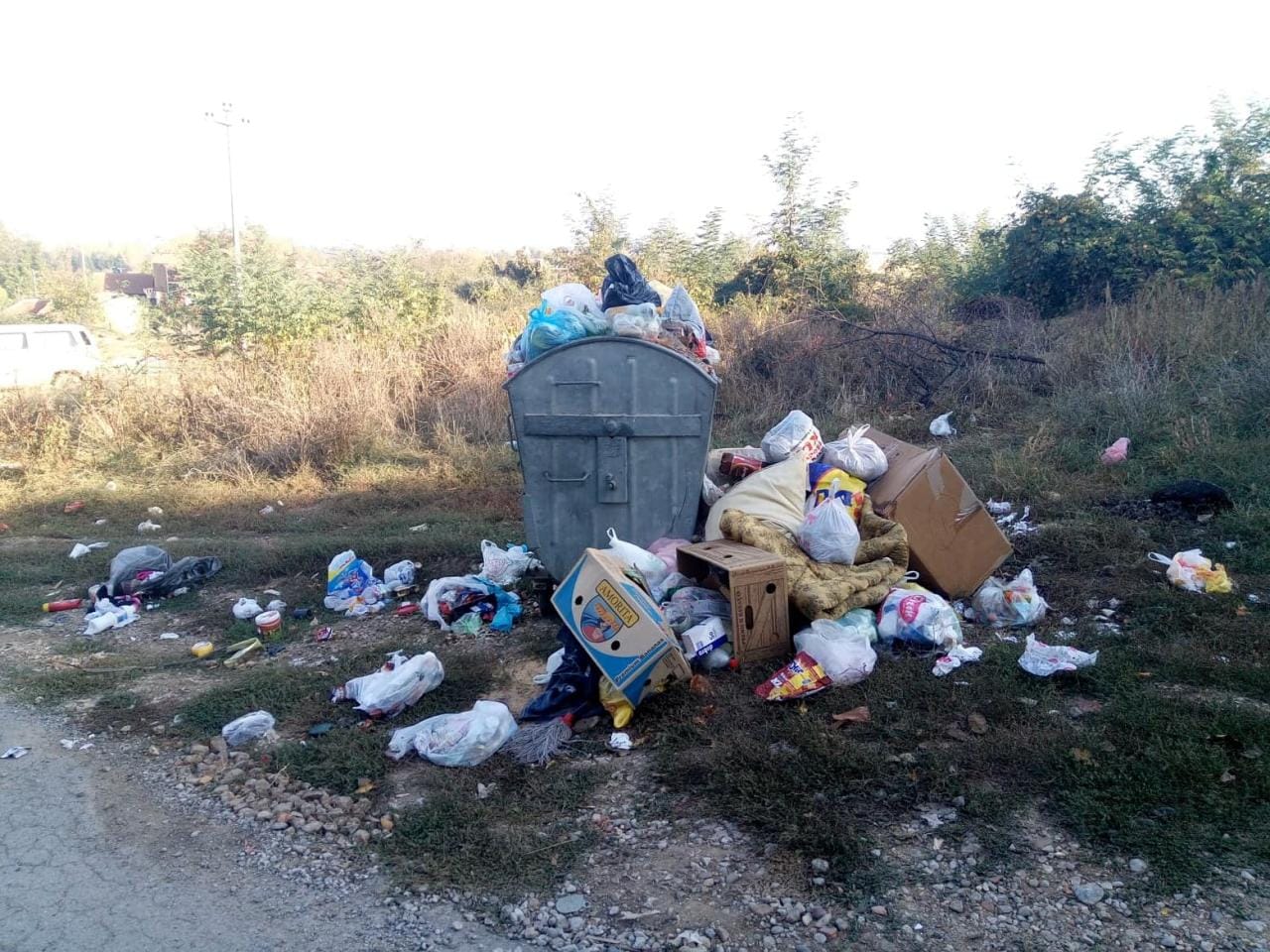 Kontejner Delijski vis V M