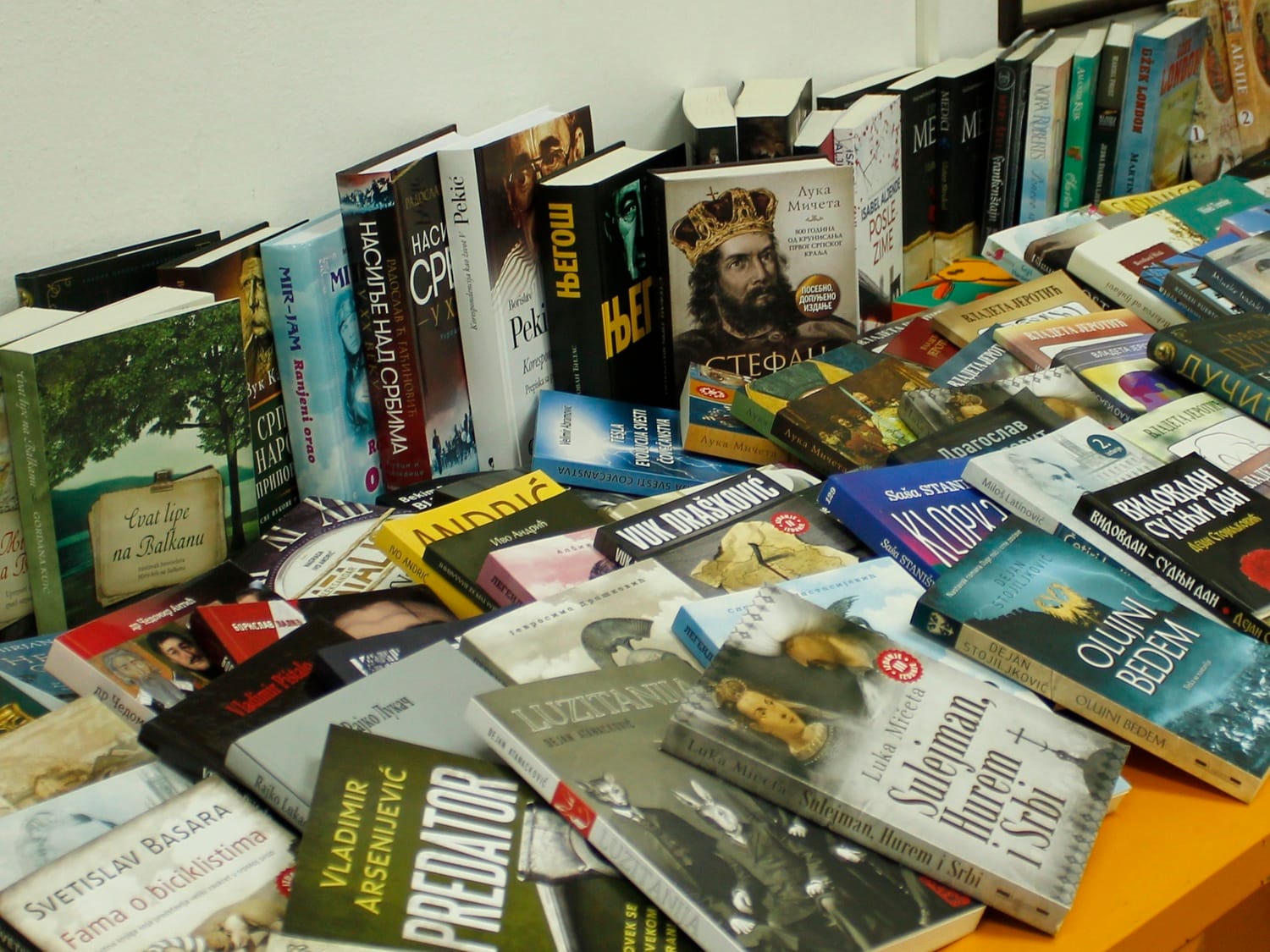 Knjige Biblioteka Leskovac jul 2018 foto Bojana Antic