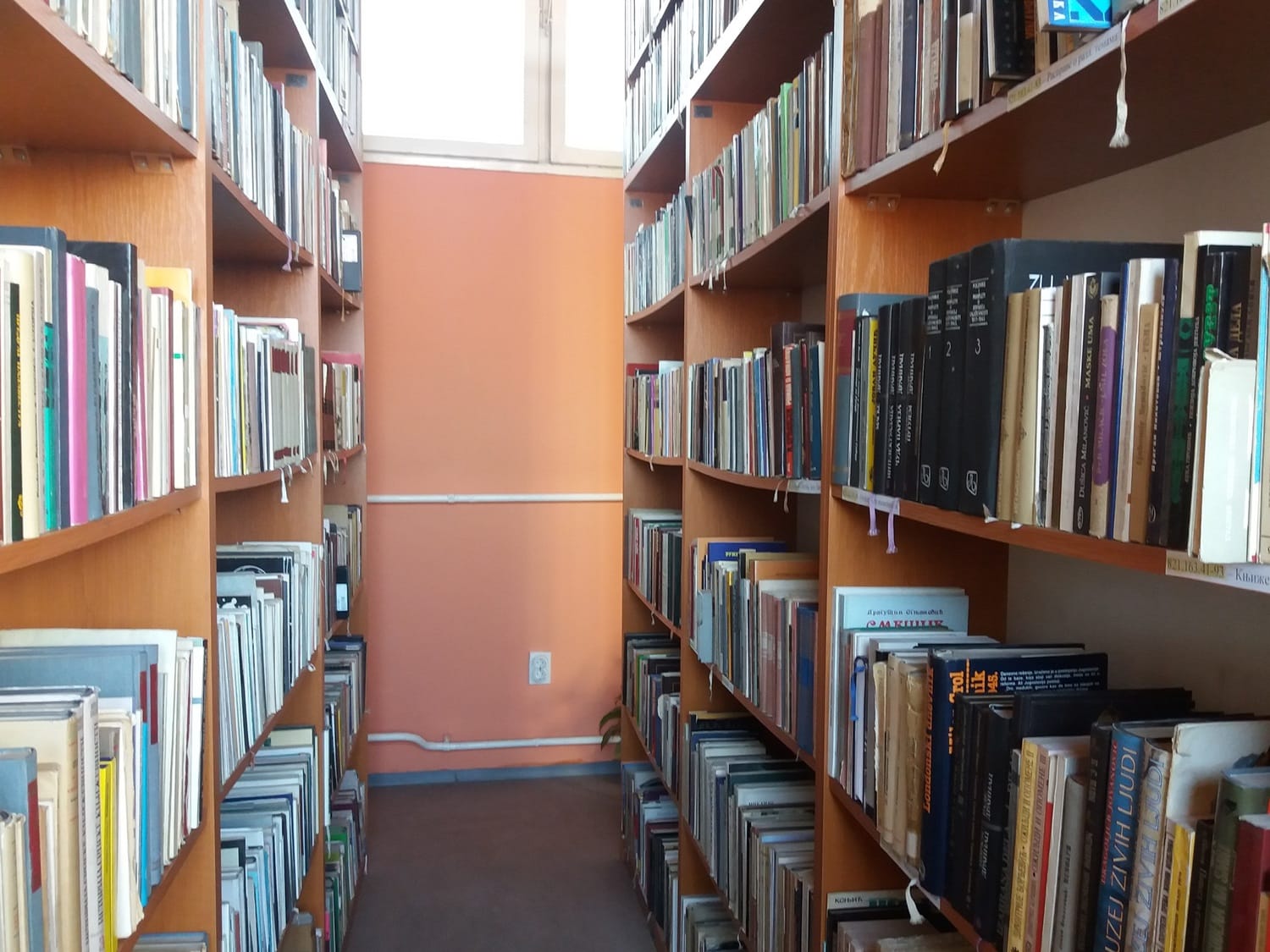 Knjige polica decembar 2018 foto Bojana Antic