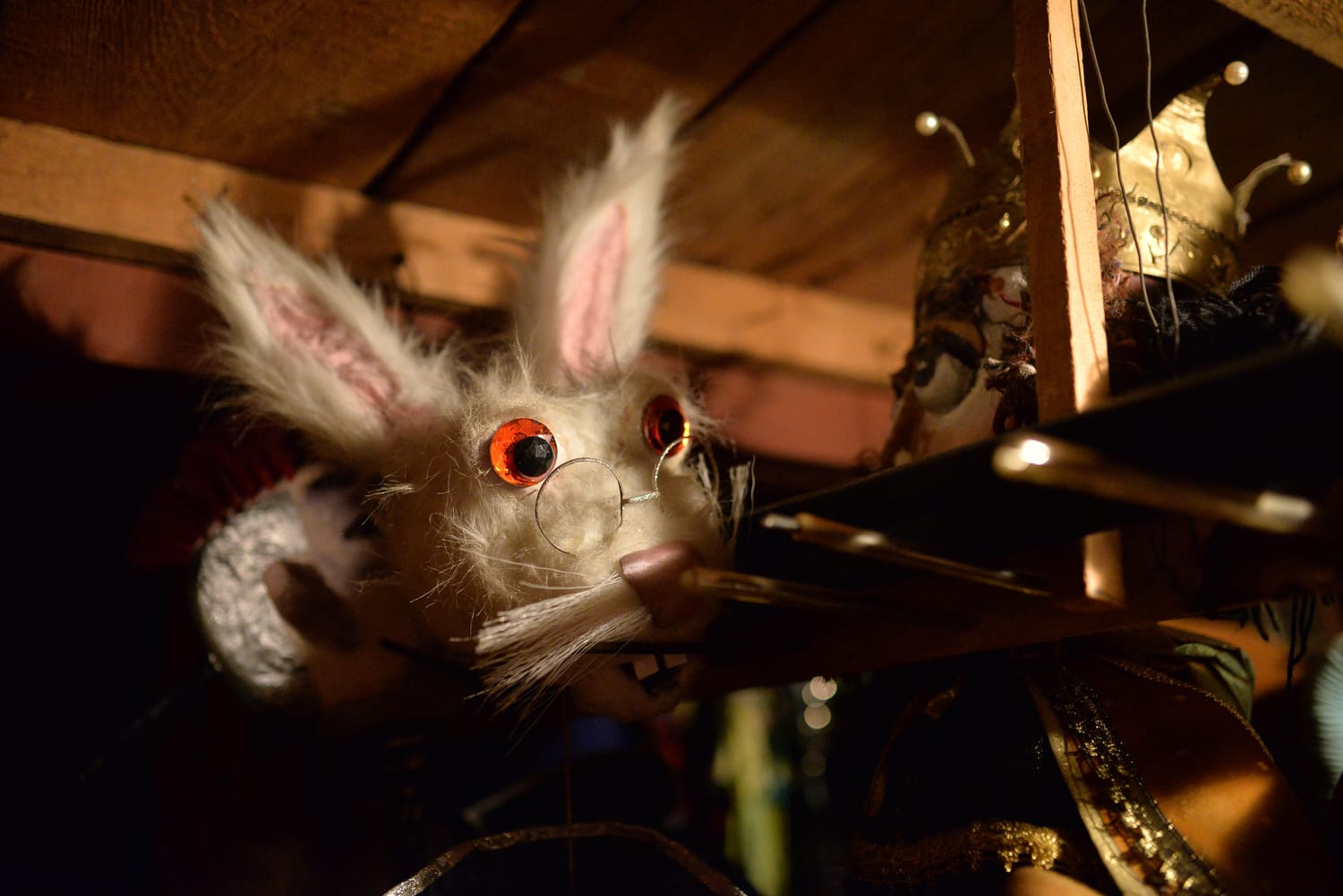 Zec-lutka-Vanja-Keser