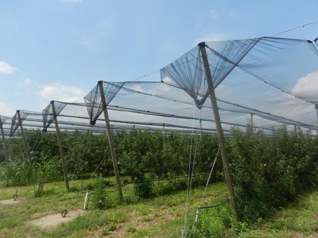 Protivgradna mreza foto DRI