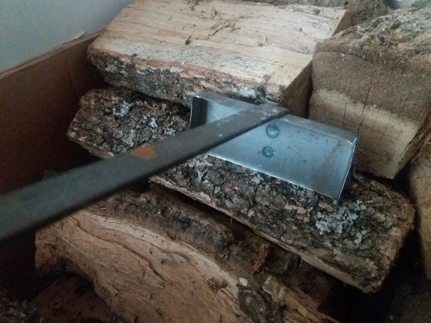 Zarac ilustracija foto Bojana Antic