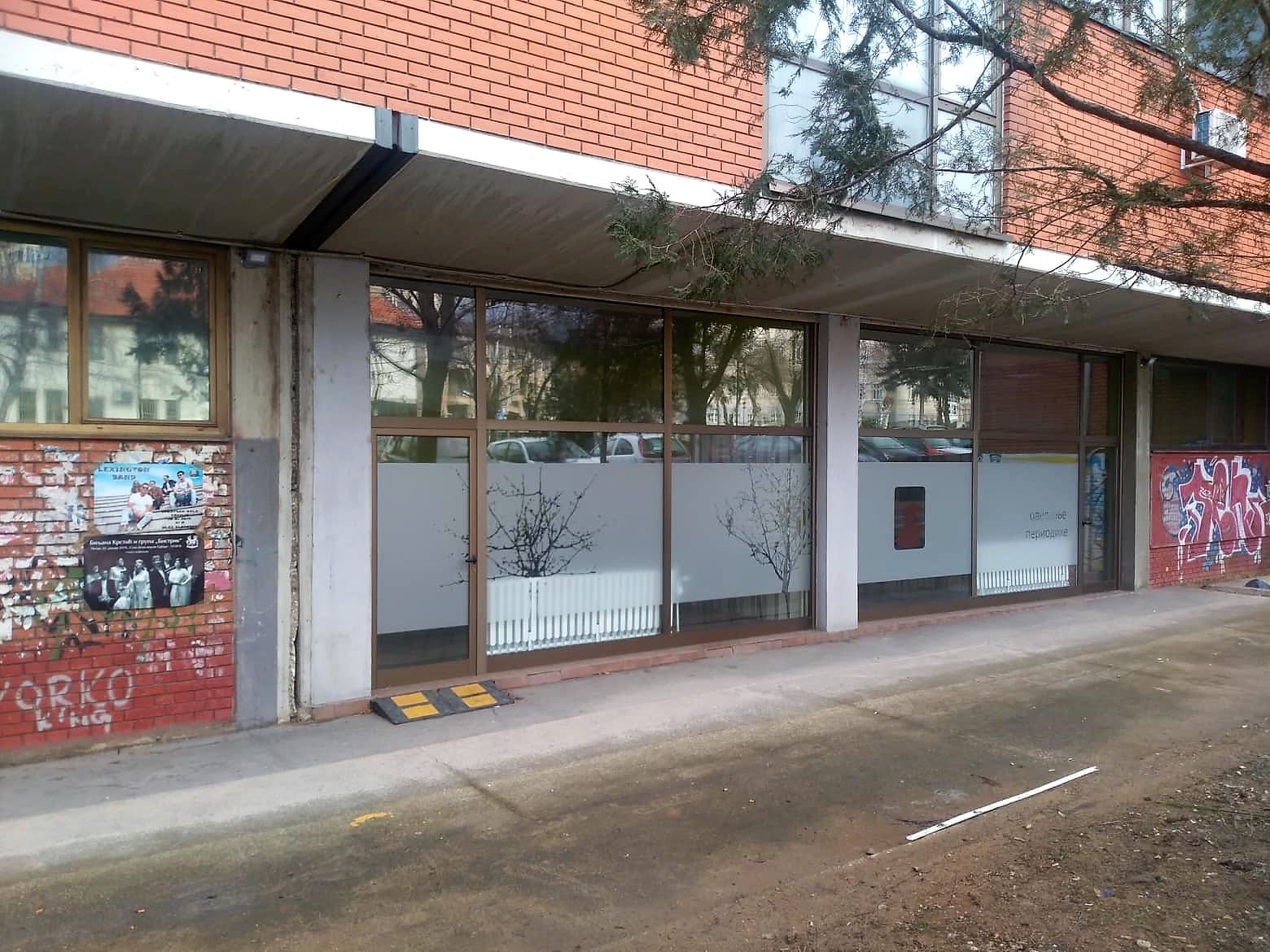 50813588 376618846249937 6806195246171422720 n