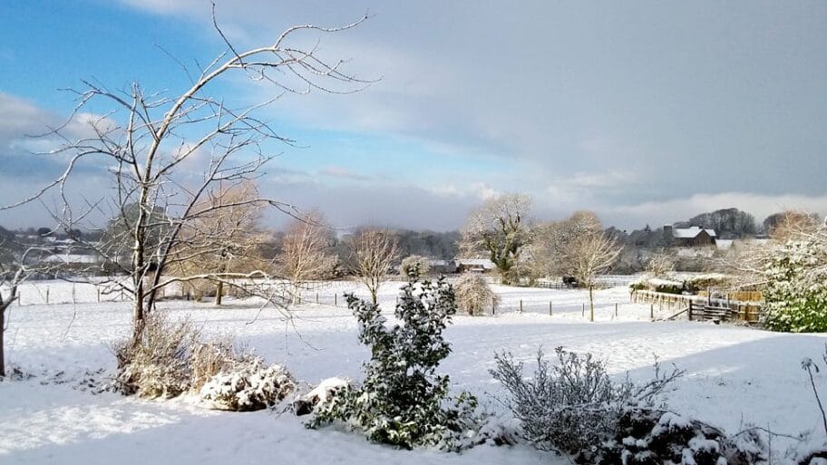 U fotografijama: Sneg prekrio delove Britanije 5 105397717 snow uk 5