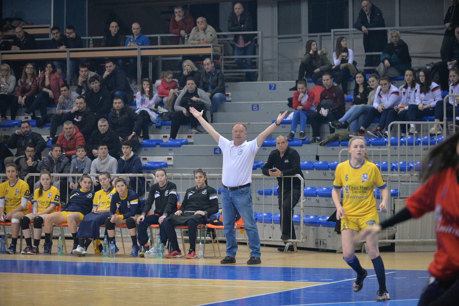 svetislav-jovanovic,-naisa,-pelister,-nis,-10-februar,-foto-jv-vanja-keser