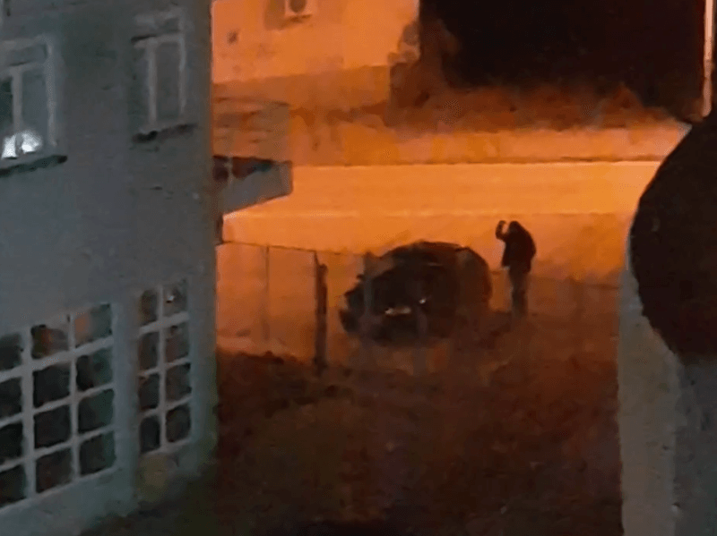 vandalizam printskrin