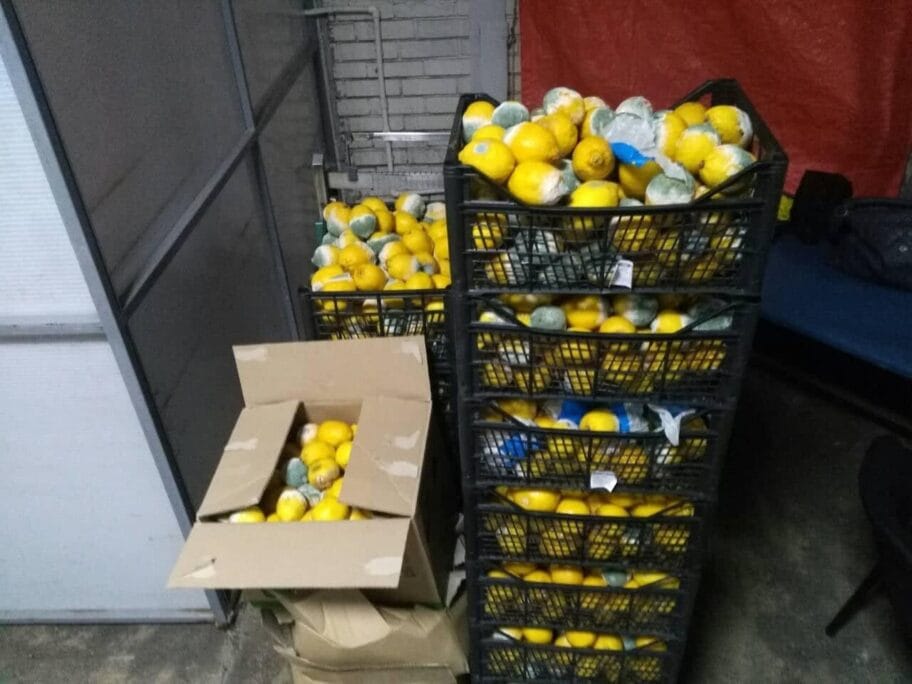 skapan limun foto citalac