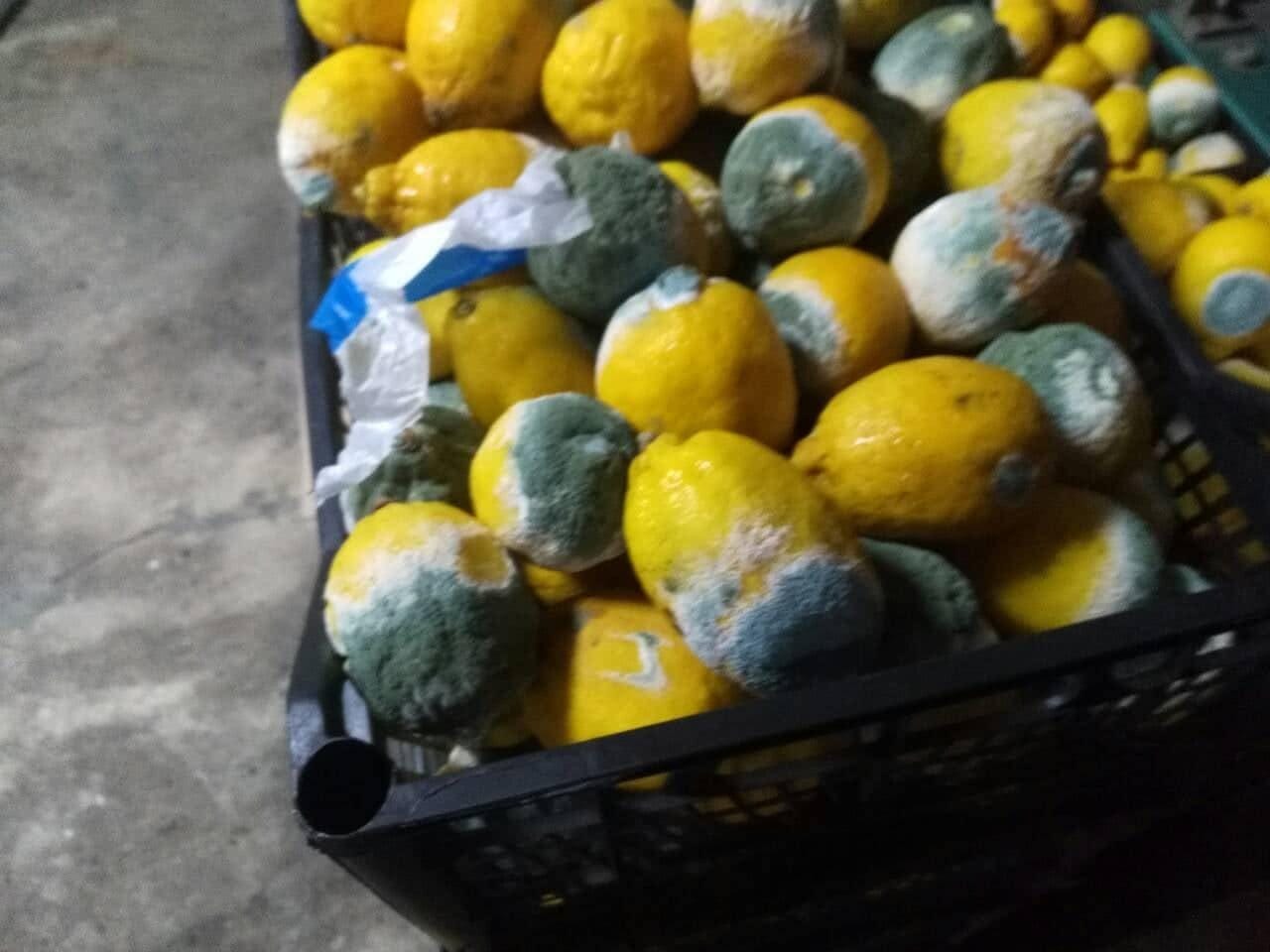 1280x0 Skapani limun foto JV