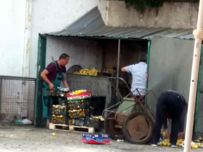 Limun se baca u smece foto JV