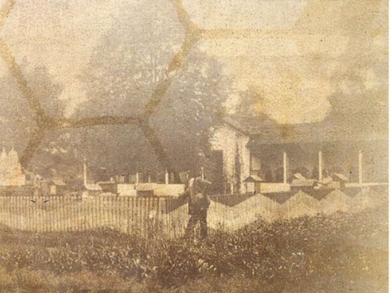 Izložba o kraljevačkom pčelarstvu u niškoj Sinagogi 19 Hvala pcelama plakat