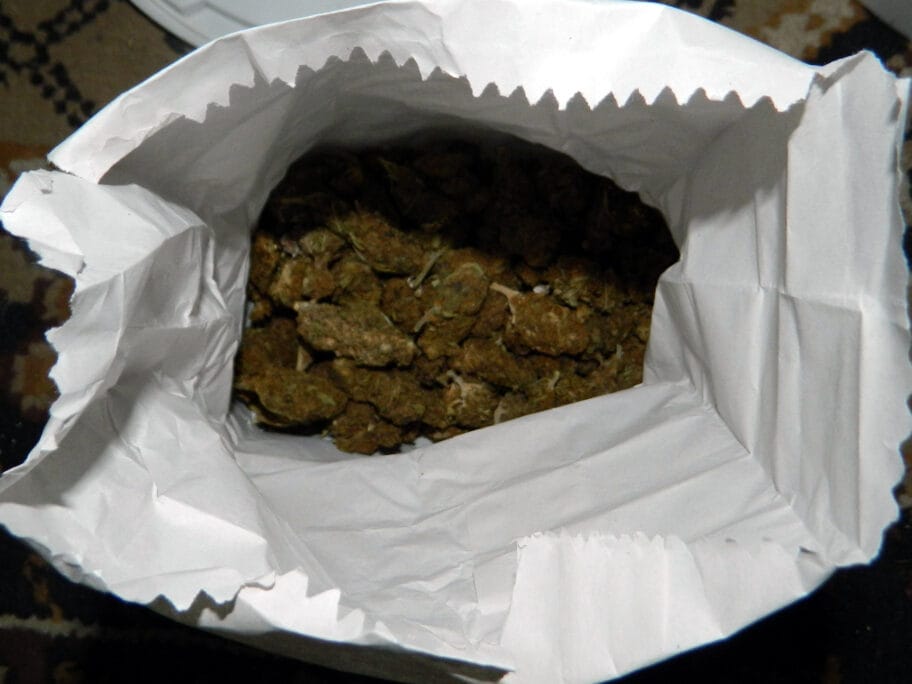 marihuana foto PU Nis