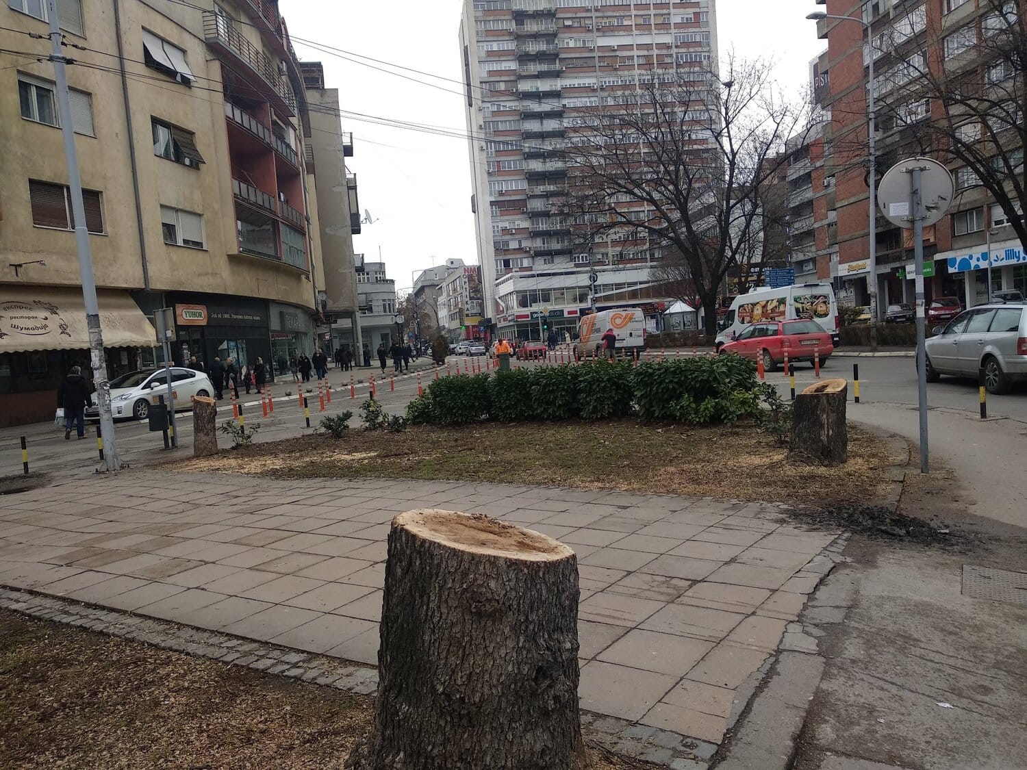 Poseceno drvo Trg Pavla Stojkovica Prijavi problem