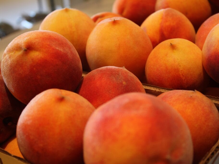 Breskve Flickr Jacksons Orchard