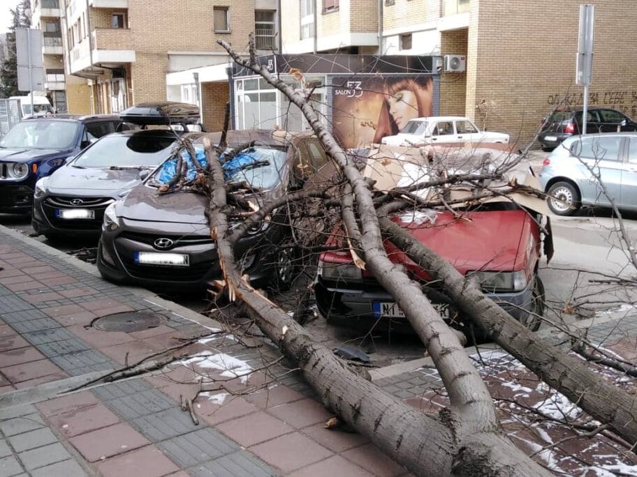 Usluzni centar Medijana drvo na kolima foto B R