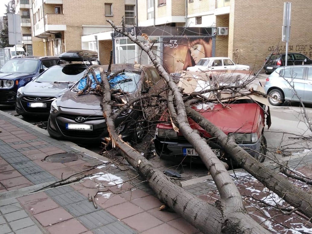 Vetar noćas obarao drveće u Nišu, prijavljeno 7 oštećenja na kolima 1 Usluzni centar Medijana drvo na kolima foto B R