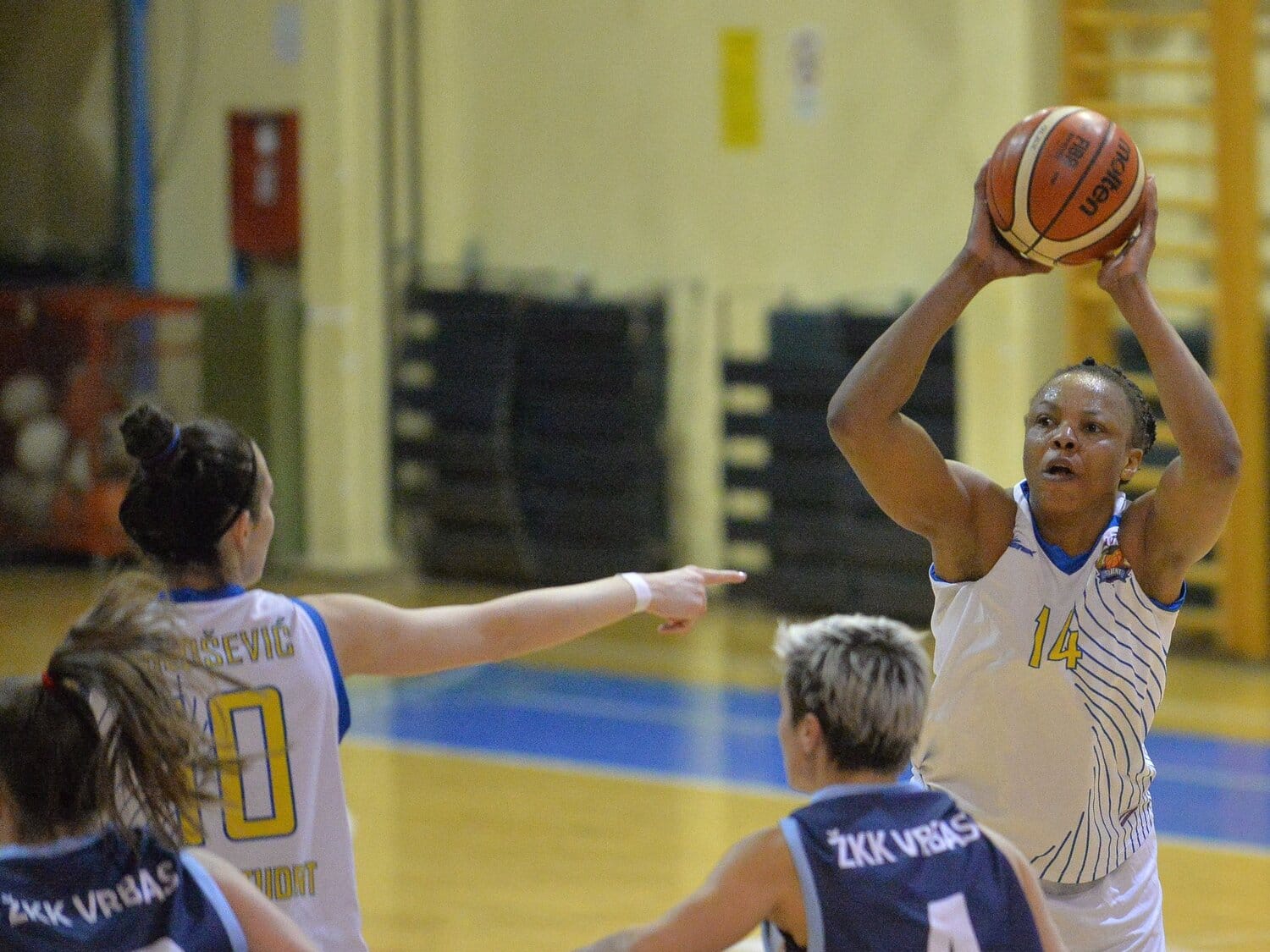 Student izgubio po 17. put u sezoni 1 Kazadi Tete Student kosarka foto Juzne vesti Vanja Keser