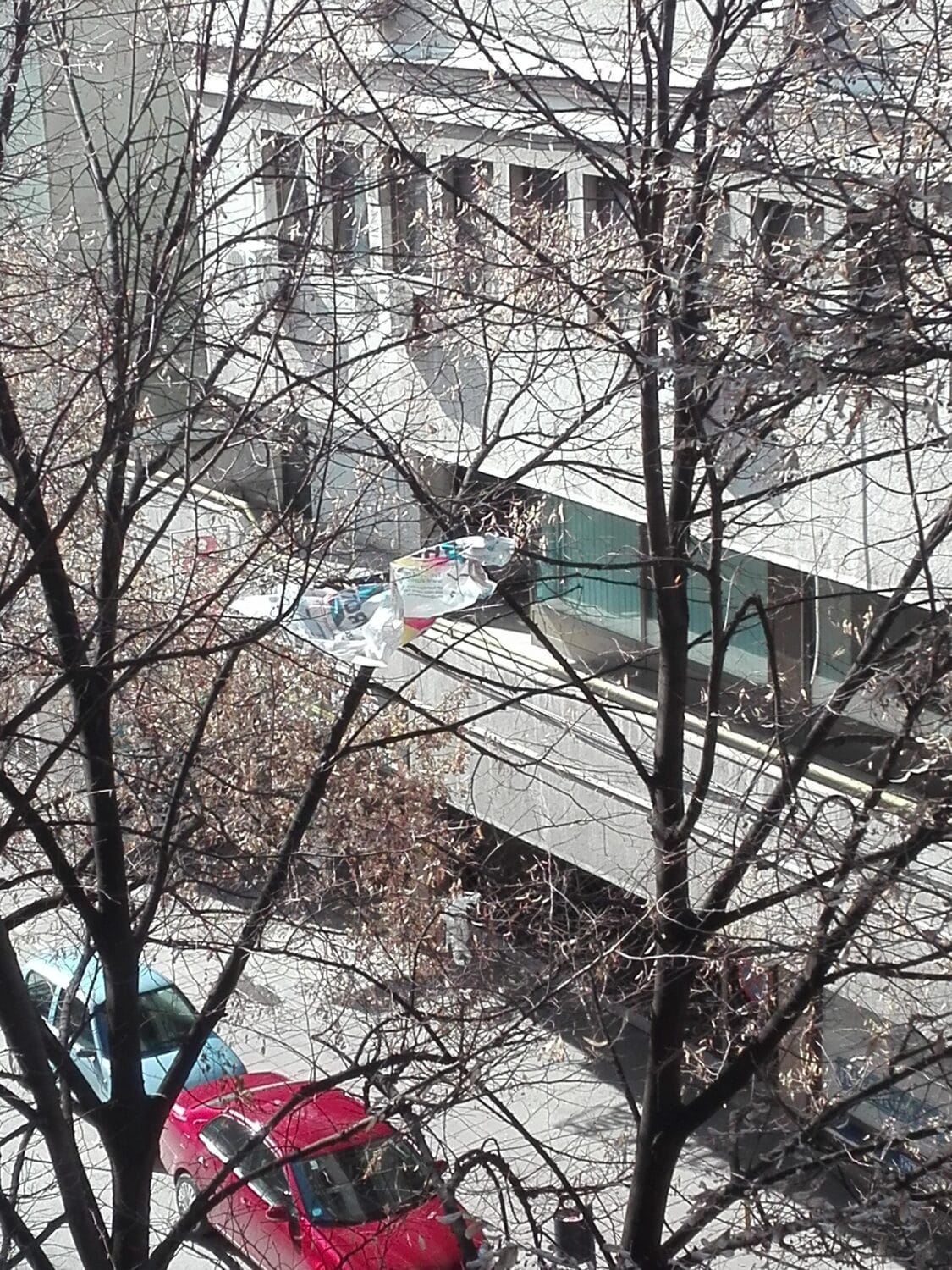 Grane smece Prijavi problem scaled