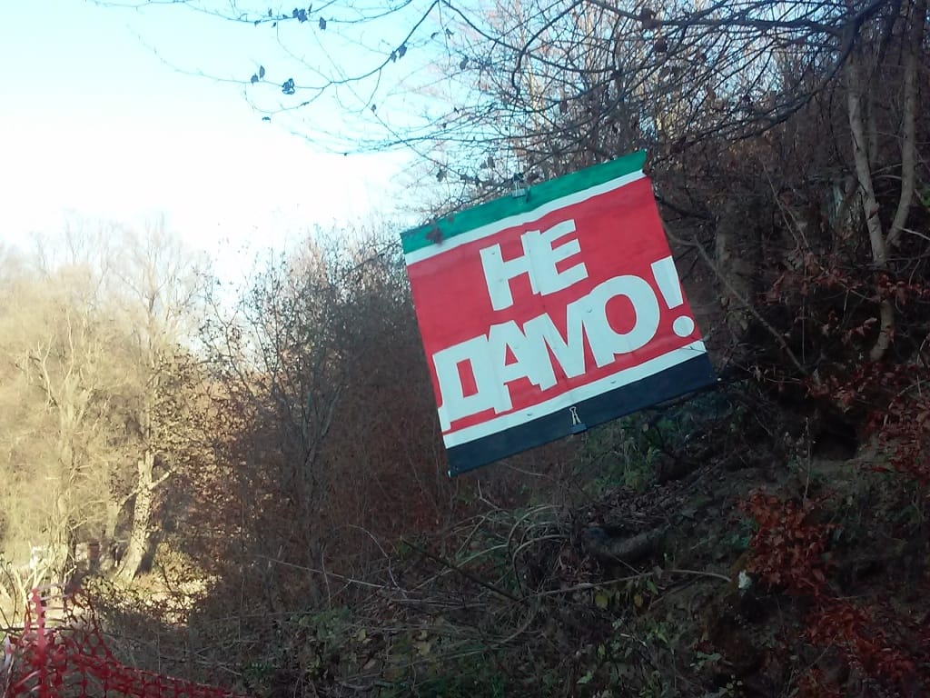 transparenti foto Lj F