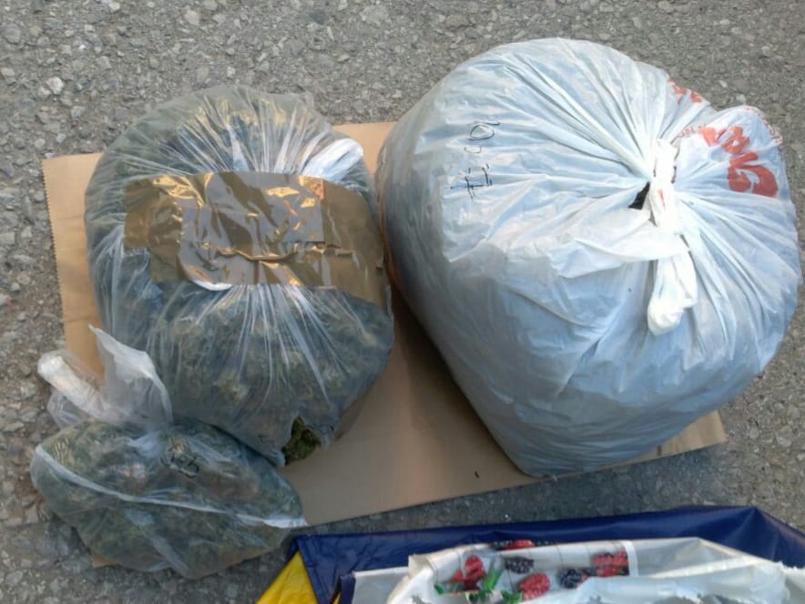 marihunana aleksinac foto punis