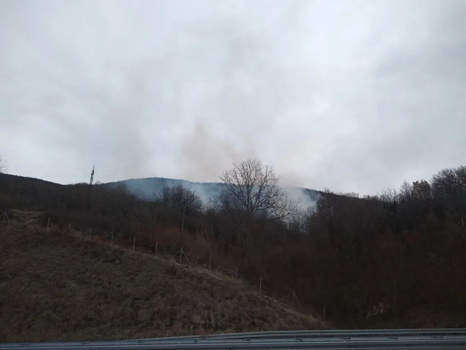 Više od 20 hektara šume i vinograda gorelo na ulazu u Sićevačku klisuru 6 pozar ostrovica2 foto opstinanb