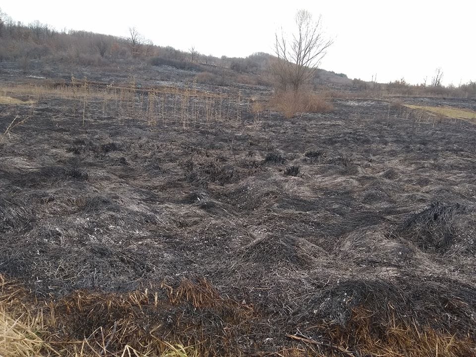 pozar-ostrovica-foto-opstinanb