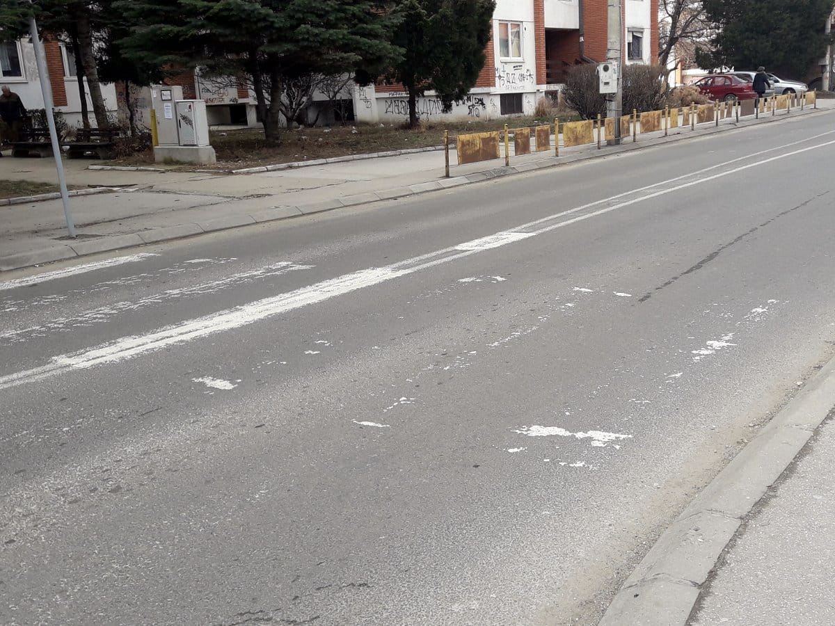 Zebre izbledele foto citalac