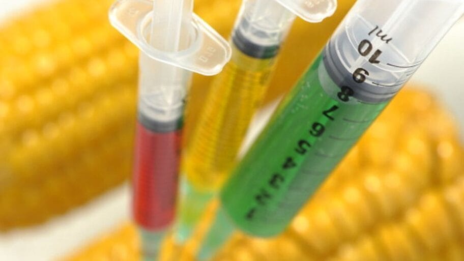 105987441 gettyimages 169371472 594x594