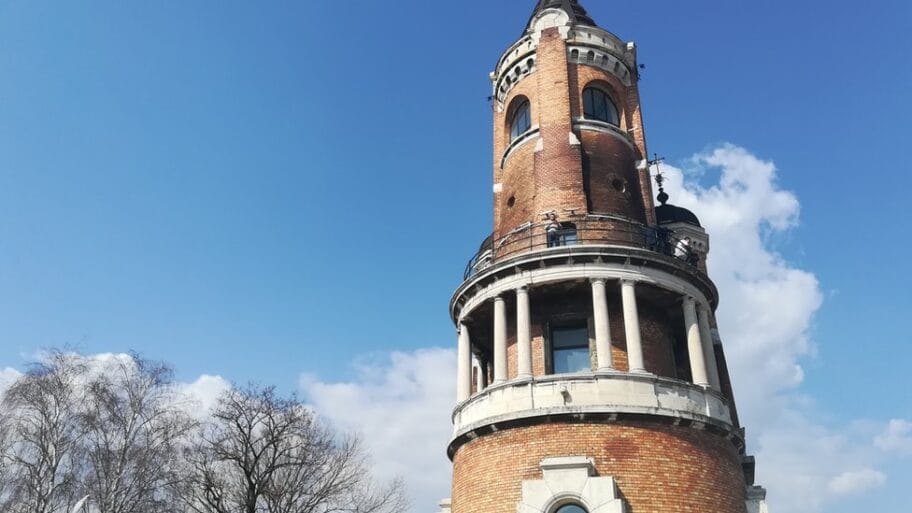 106025916 img 20190314 120842