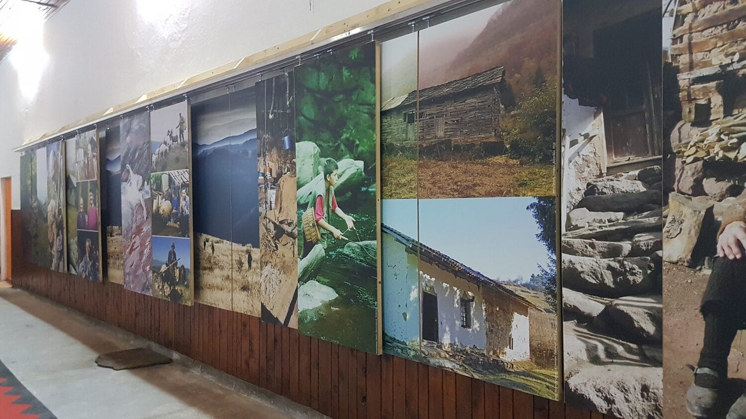 zid identiteta foto Z T scaled