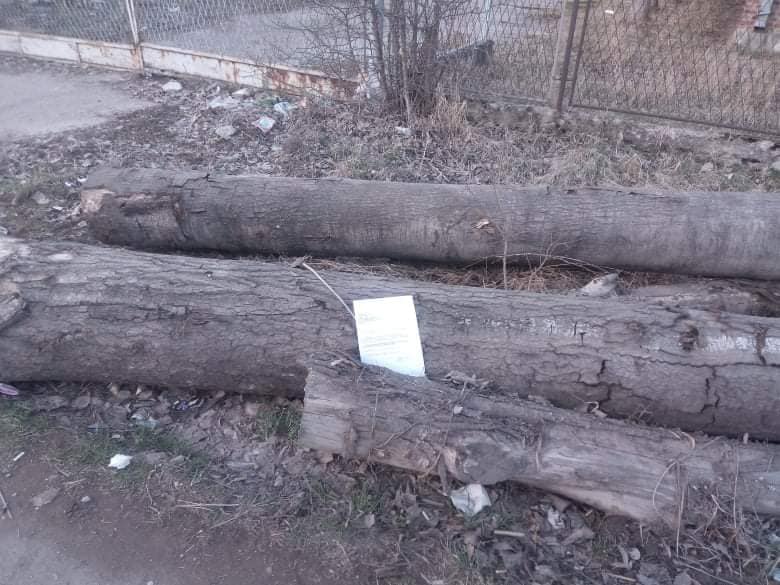 resenja foto citalac