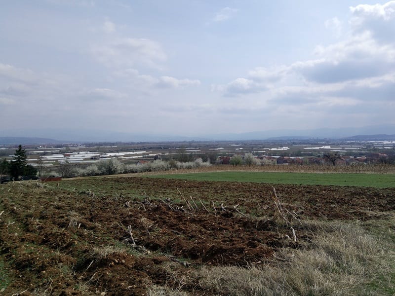 Njive foto Bojana Antic