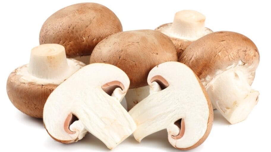 106026083 gettyimages 908720654