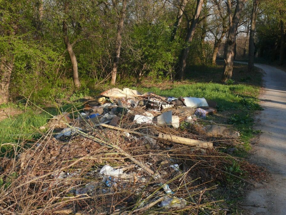 Smece Bubanj foto Z P