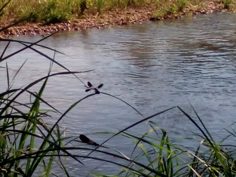 Reka voda vilin konjic foto V Milic