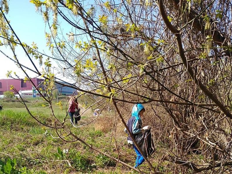 Ciscenje akcija foto I D