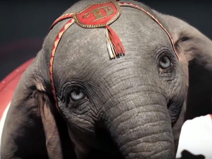 Dambo foto print screen