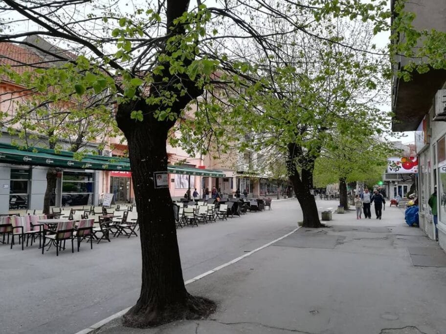 Drvored Aleksinac foto J A