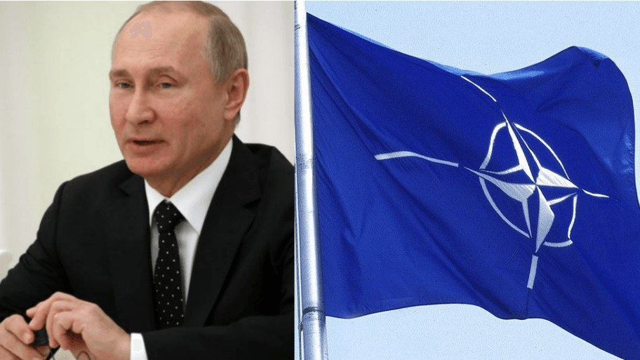 106313808 putininato